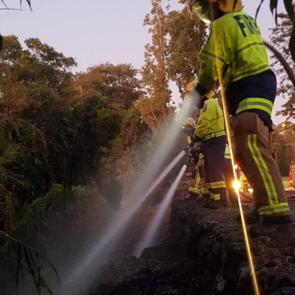 BRIGADE MEMBERS Thumbnail